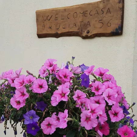 Casa Bruciata Апартаменты